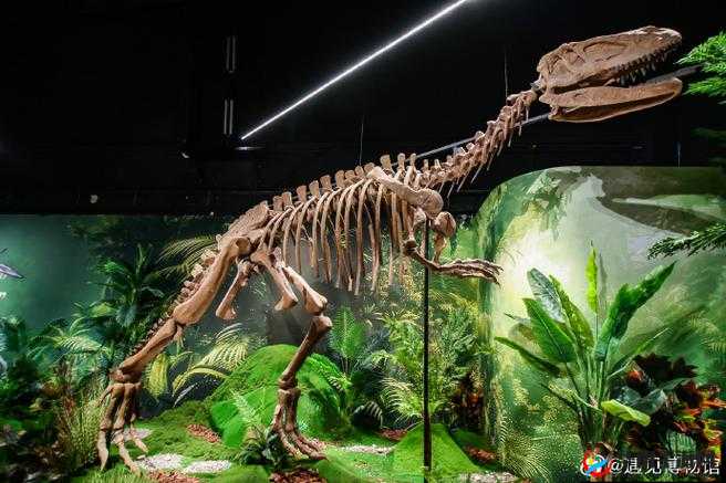 恐龙饥饿大冒险：史前生存挑战全解析