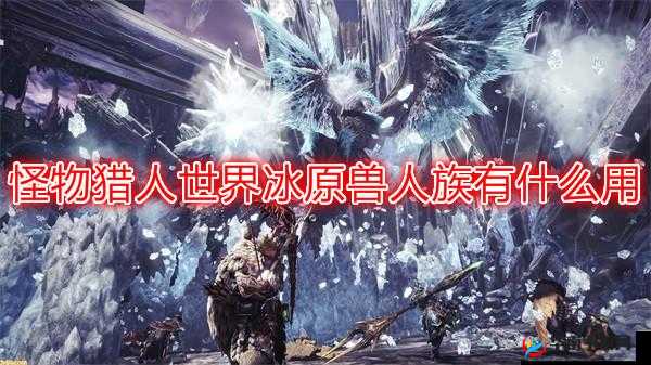 怪物猎人世界冰原中兽人族的作用及其重要性详细解析