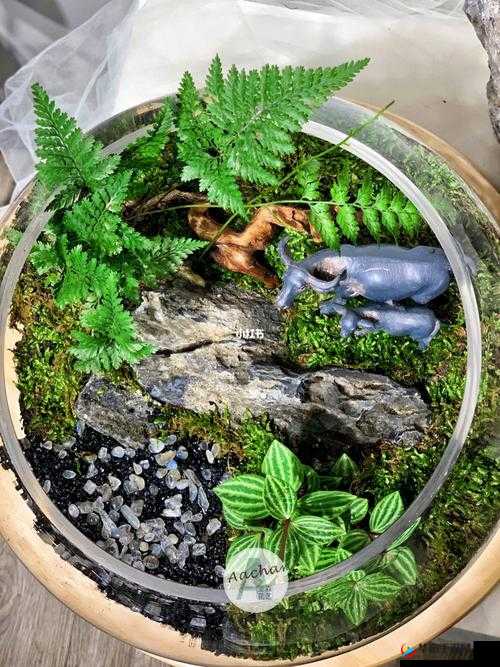 老牛嫩草一二三产品区别:各有不同特点