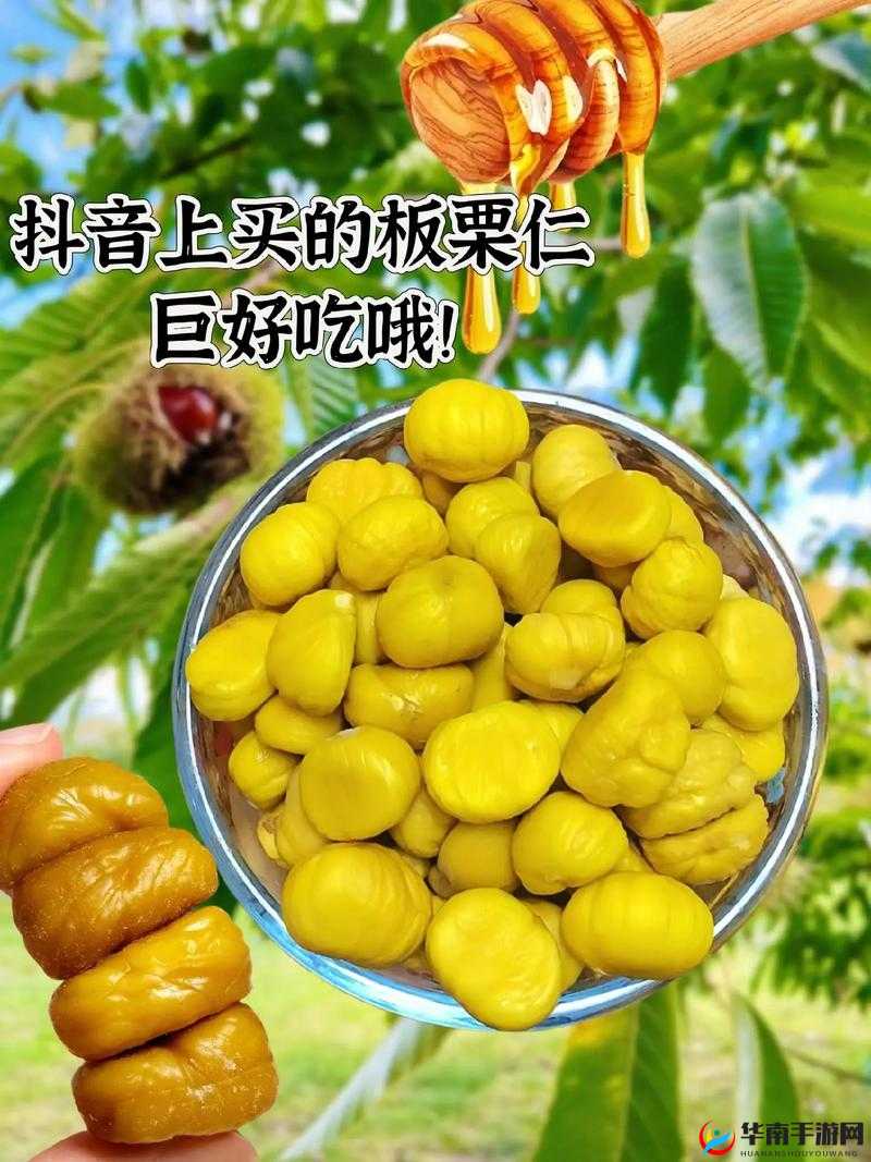 肉肉的小黄车：一路陪伴的贴心伙伴