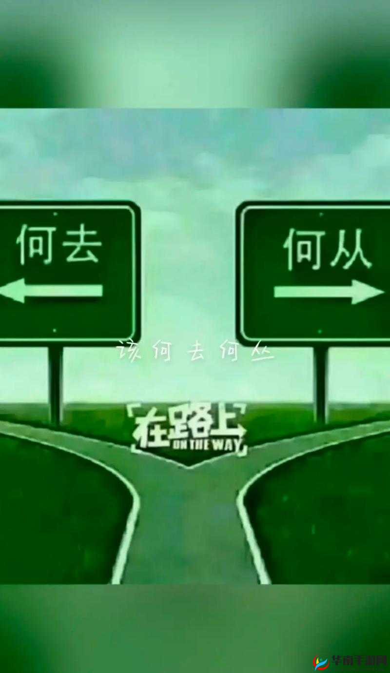 跟系统反目成仇以后：我该何去何从？