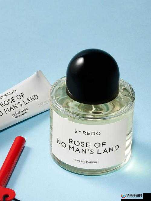 无人区玫瑰与夜色玫瑰的区别：神秘与优雅的碰撞