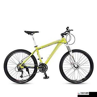 永久 YE8.8：性能卓越的经典之选