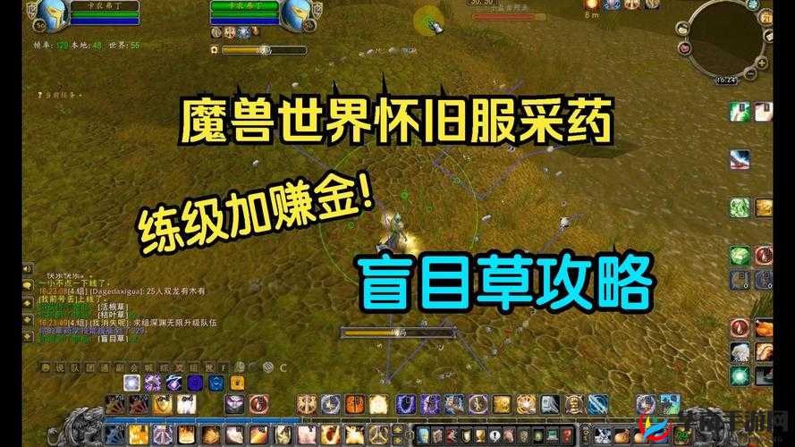 魔兽世界稀有草药任务攻略：寻找神秘药草的探险之旅与指南