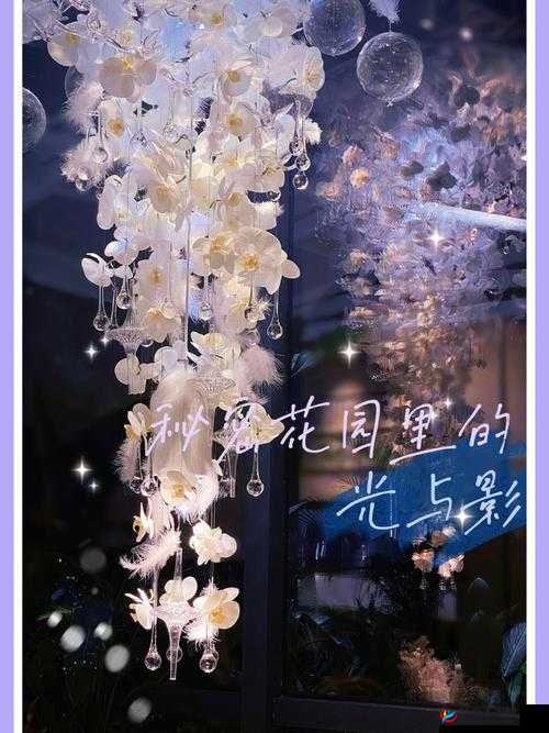 镜光之舞:探索光影的秘密花园