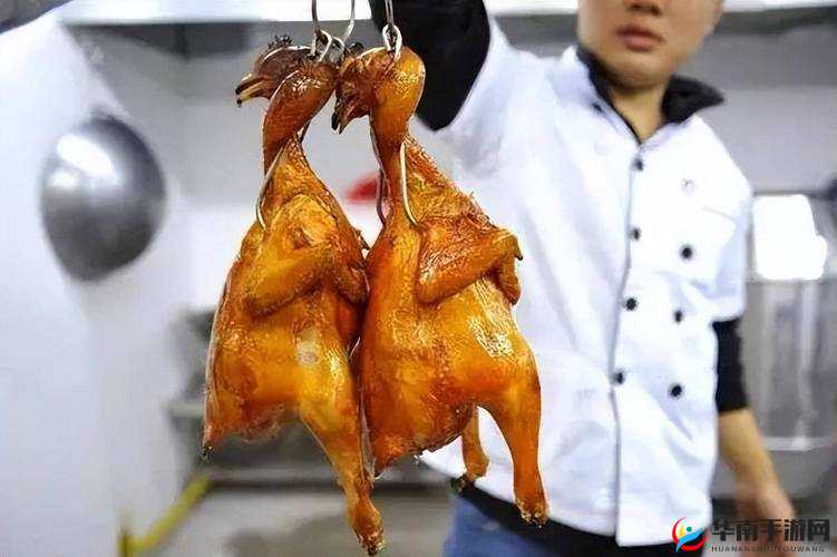 美国人与畜禽 Croproation365：畜禽合作的探索