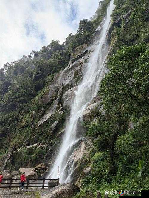 云南省 XXXXXL17 独特魅力等你来探索