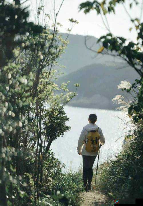 仙林踪 cosmetology 大陆:探寻神秘仙境