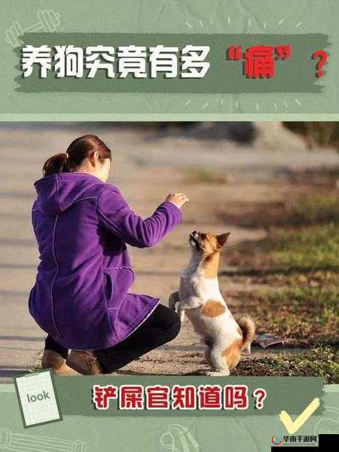 人狗对战 csdn 更新内容介绍：狗狗与玩家并肩作战