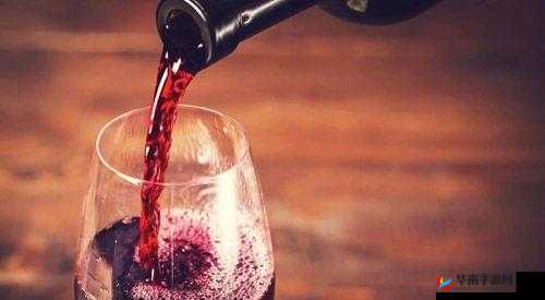 别到红酒了装不下 1V2 激情场面