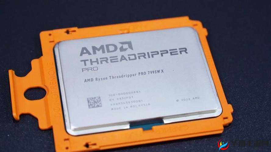 7980x 和 7995wx 的对比分析