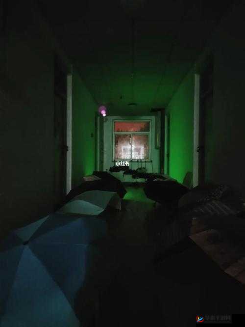 熄灯后的寝室 PH：别样的青春故事