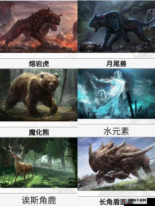 黑暗与光明手游：战斗宠物推荐