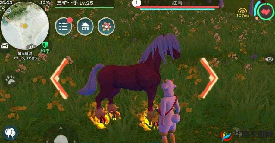 创造与魔法红马饲料:创造你的专属神奇坐骑