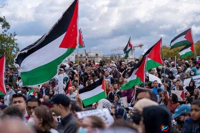 失策 11h：一场令人深思的事件