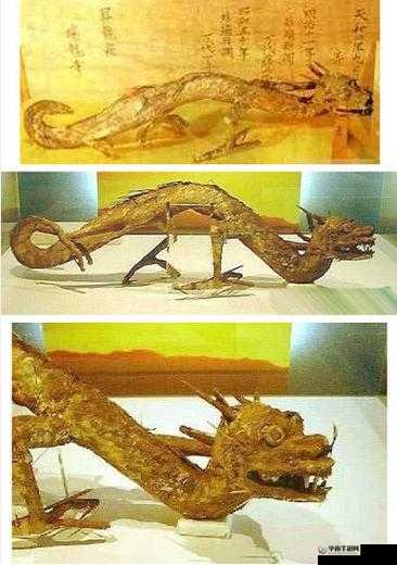 现实中真有人玩双龙吗