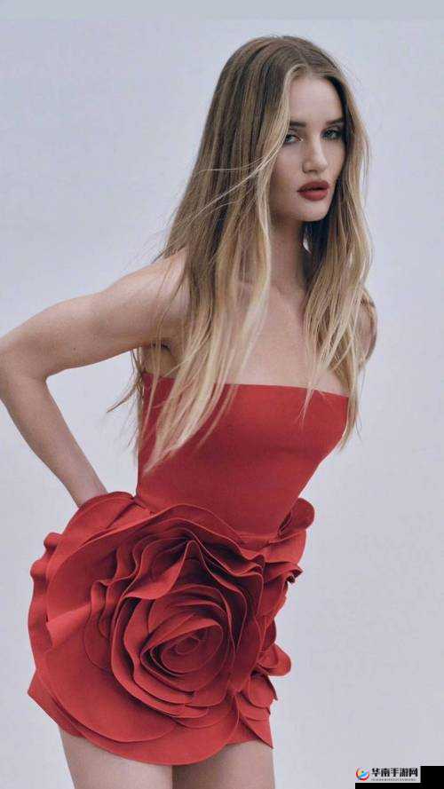 趣味盎然：探寻有趣环的魅力世界与独特之处