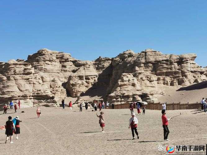 2023 无人区码一码二码三码：神秘的代码组合