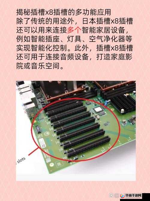 日本插槽X8是正规还是仿:深入探究