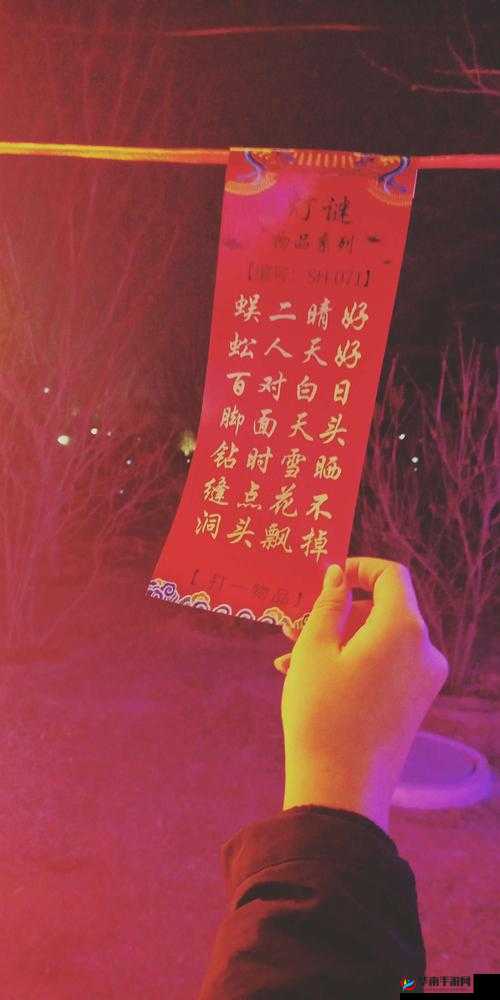 MD 换母闹元宵猜灯谜苏秦：一场独特的元宵活动