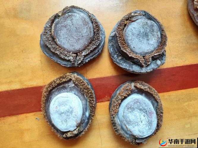 牛奶和鲍鱼能一起吃吗:相关饮食疑问解答