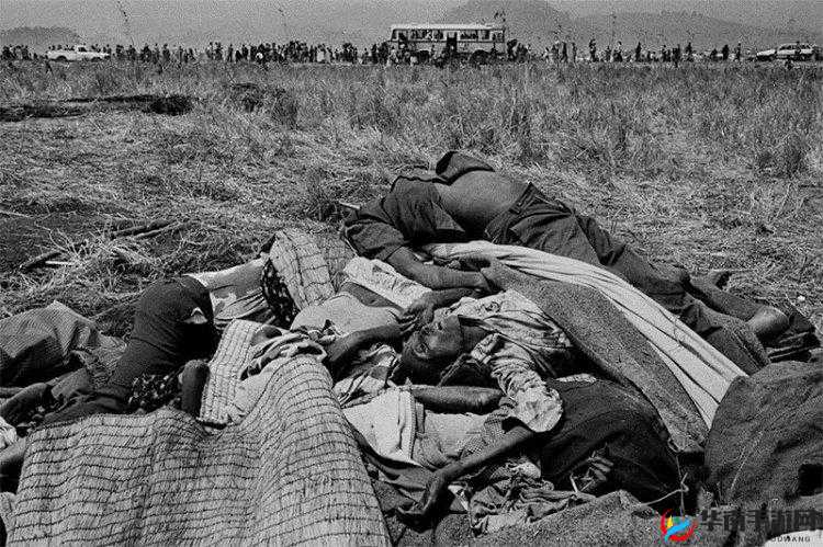 公府佳媳九月篝火:一场别样的故事