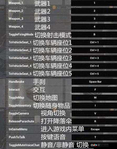 木筏求生加入好友游戏黑屏解决方法分享及实用技巧汇总