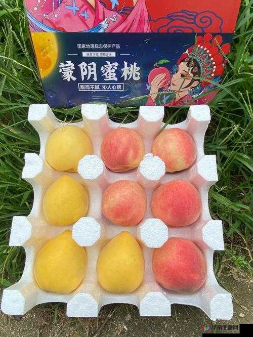 无人一区二区区别是什么红桃：揭示神秘之处