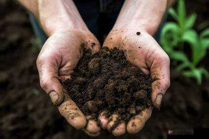 开垦母亲肥沃土地教案：探索土地利用新方式