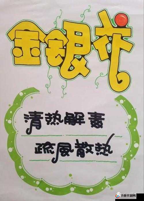 深度开发 pop 金银花：探索其药用价值