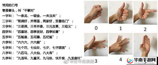 天天猜拳的乐趣与挑战:场手势间的智慧对决简介