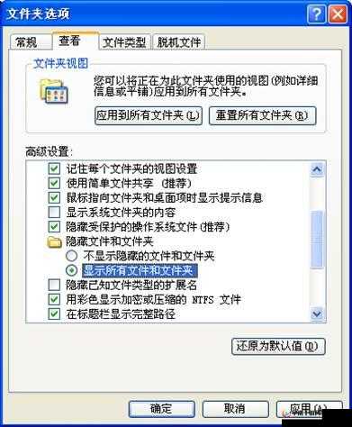 全民天天矿工软件安装配置详解指南：从安装到配置步到位的过程说明