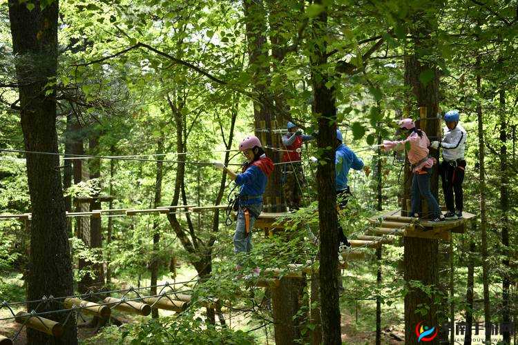 玄乐森林：自然探险的绝佳去处
