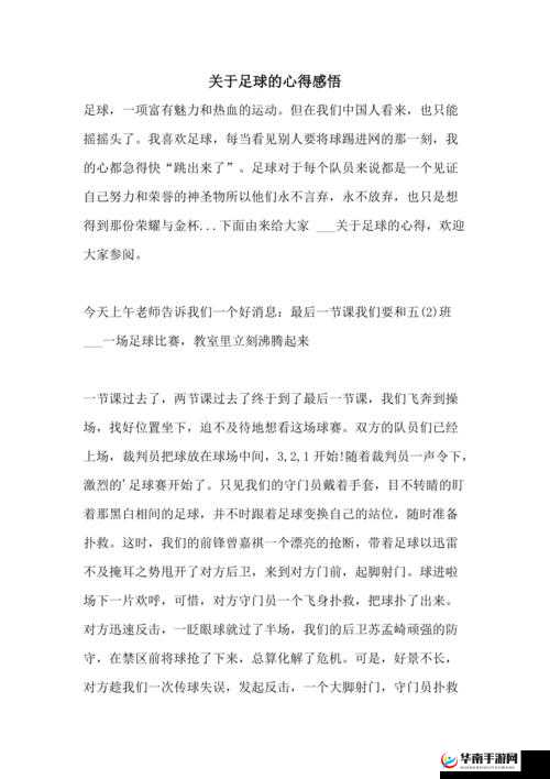 老玩家眼中的FIFA足球世界：传承与探索的深刻心得体会