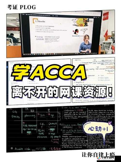 acca 少女网课韩国：揭秘网络直播背后的故事