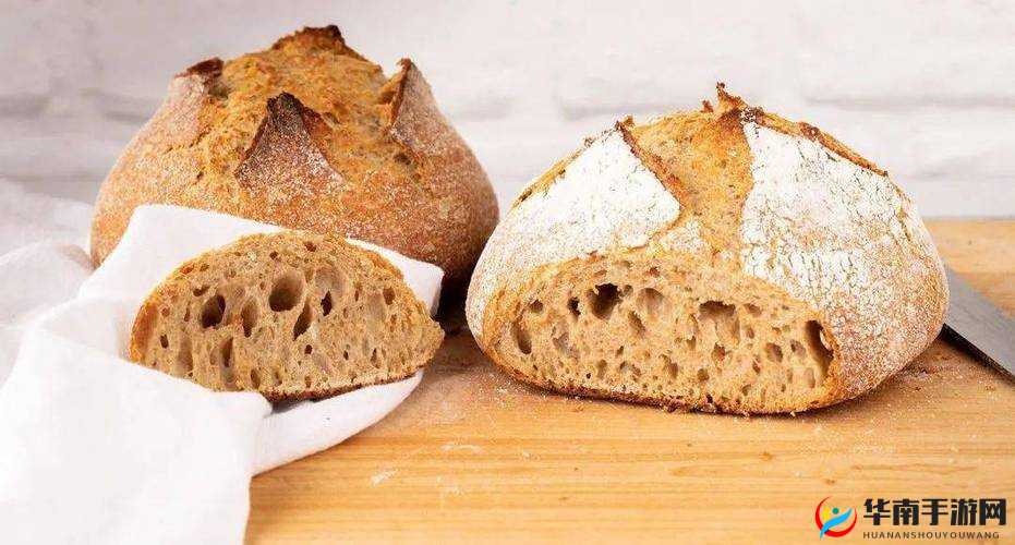 探寻往日不再中酵母的神秘踪迹及用途解析