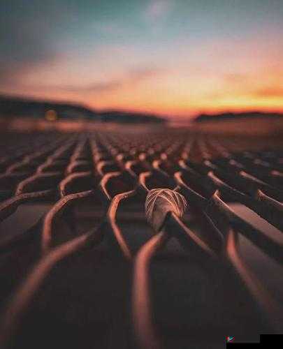 一眼就立的图片：独特视角呈现