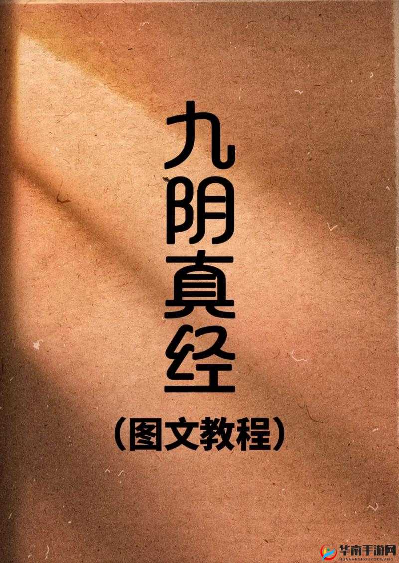 九阴真经 x88888:绝世秘籍现世