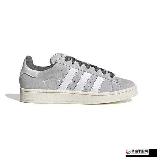 三叶草 gy3543 的独特魅力