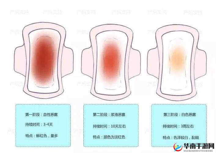 大话许仙中六道百科全揭秘,你想知道的这里都有