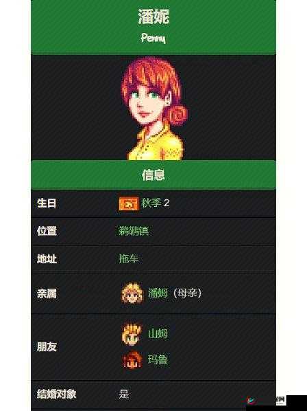 星露谷物语潘妮剧情选择与详细解读