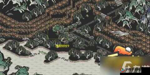 江南百景图迷毂树枝详细位置攻略：探寻迷毂树枝隐藏地点全解析