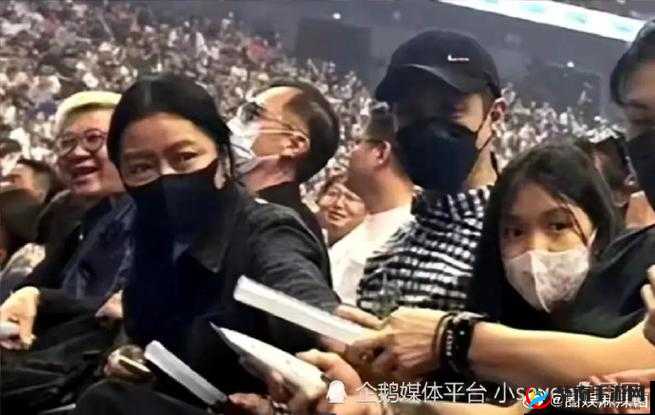 hIwbet 黑料网：深挖揭秘娱乐圈内幕