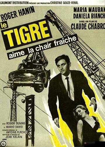 基基和戴尔的冒险故事