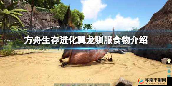 方舟生存进化：翼龙吃什么才能驯服？这些食物你需要知道