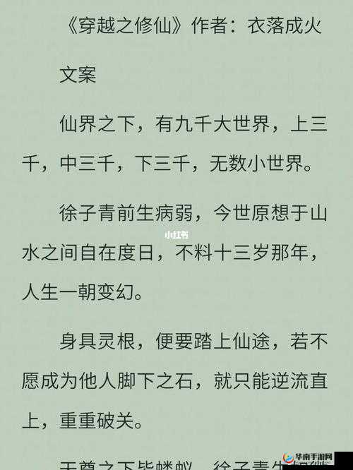 穿越系统之名养成器修仙：踏上非凡仙途