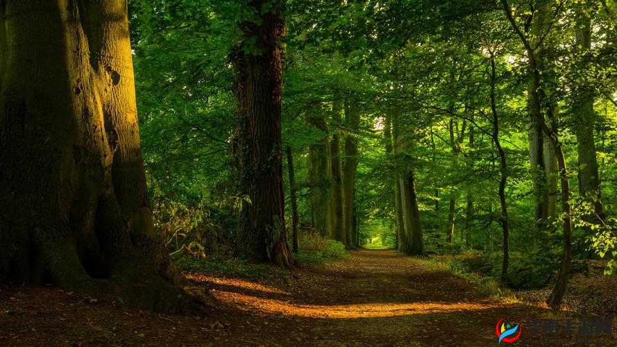 女生黏糊糊的水哄睡:伴你进入甜美梦乡