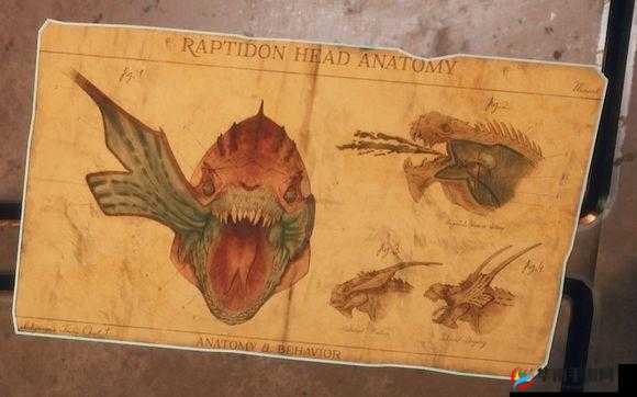 天外世界拜占庭特殊物品解析