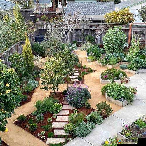 小花园想夹东西怎么办:探寻解决之道