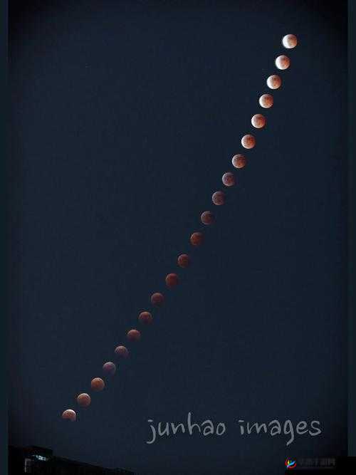 威久国际精彩视频 2022 年 8 月 9 日：不容错过